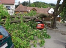 Kwikfynd Tree Cutting Services
herston